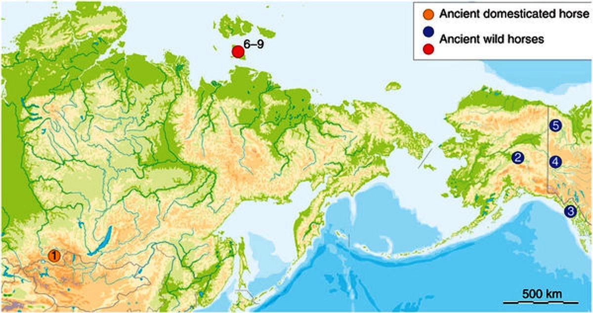 Ancient horse map
